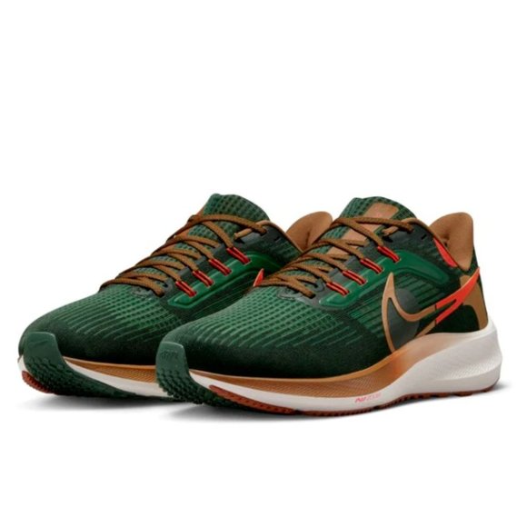 NIKE AIR ZOOM PEGASUS 39 A.I.R. HOLA LOU MEN\'S Size 13 NWOB main image 9
